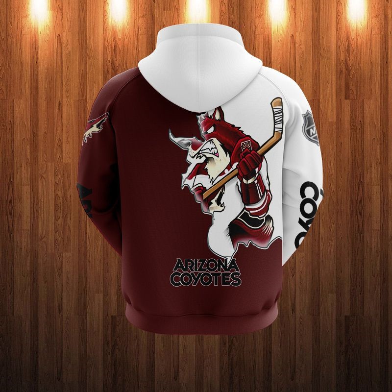 Arizona Coyotes Kachina Hoodie 3D Colorful USA Flag Gift - Personalized  Gifts: Family, Sports, Occasions, Trending